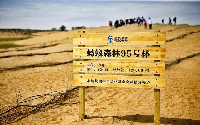 蚂蚁森林怎么看林地实景照片？支付宝蚂蚁森林电子稻草人玩法攻略