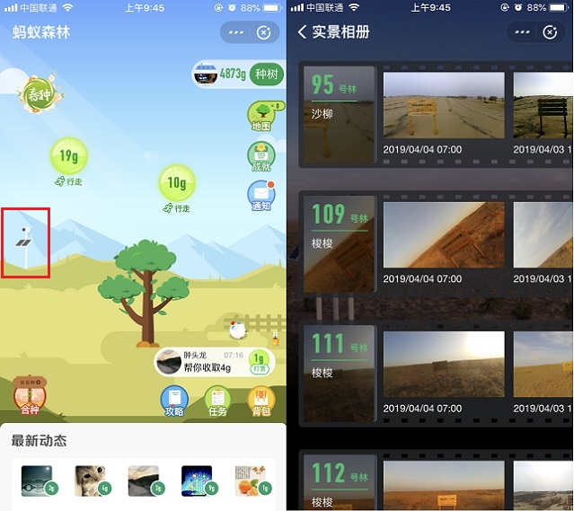 蚂蚁森林怎么看林地实景照片？支付宝蚂蚁森林电子稻草人玩法攻略
