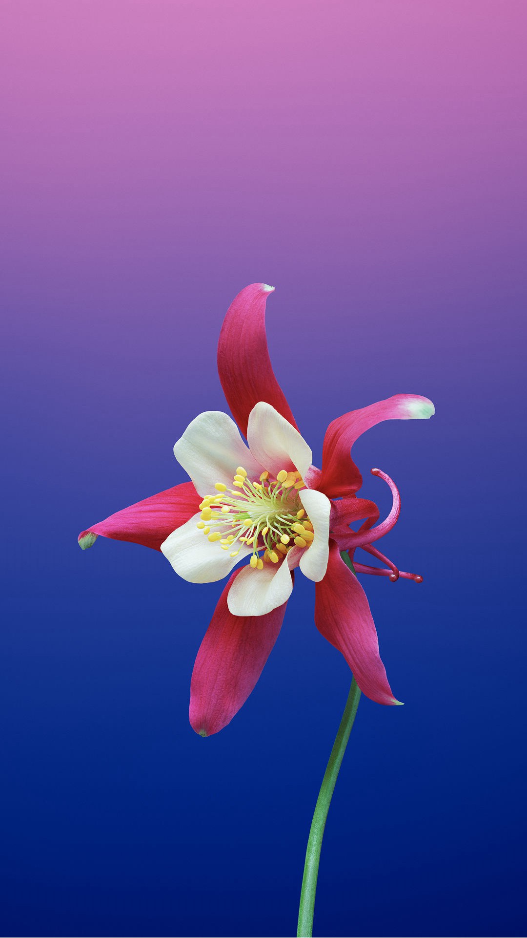 iPhone X原生壁纸大全 16张iPhone X和iPhone 8内置壁纸下载