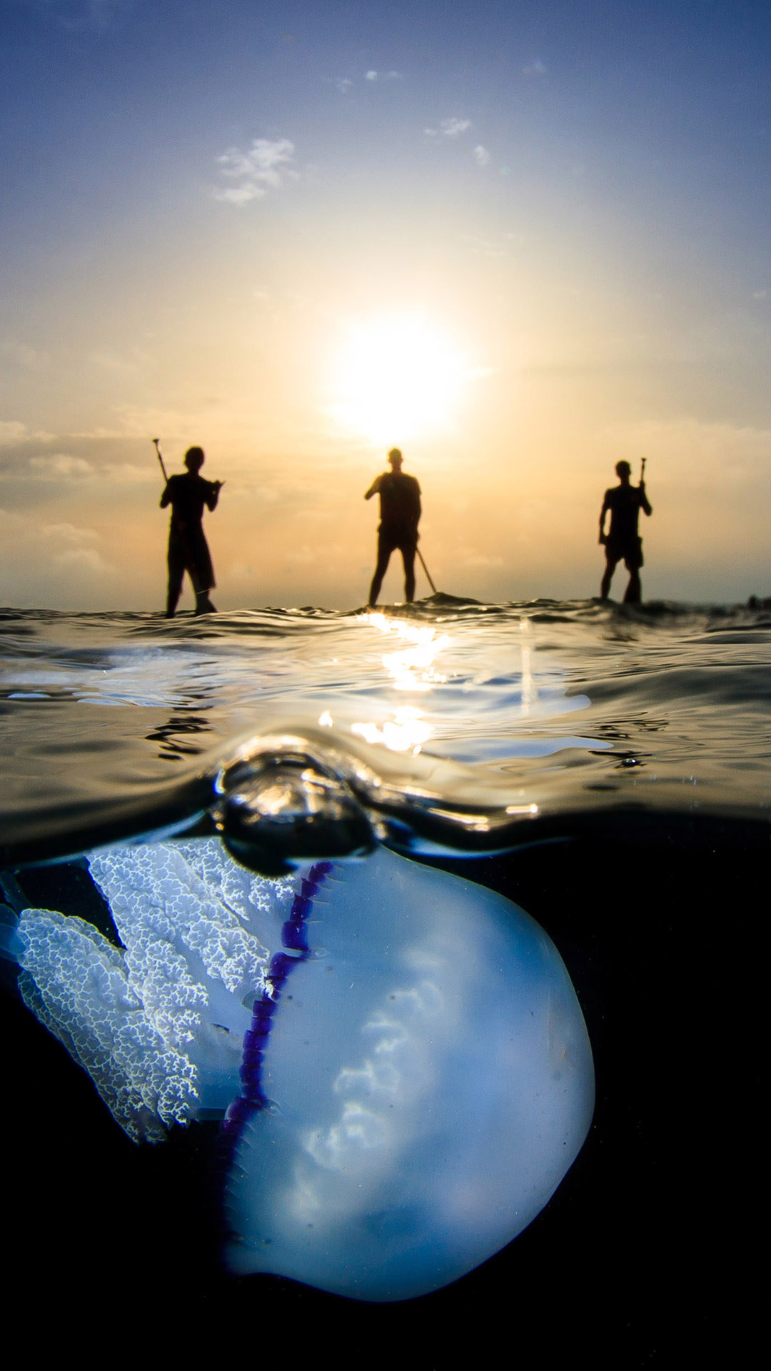 32张漂亮的自然风光微信7.0聊天背景图片推荐 唯美自然风景手机壁