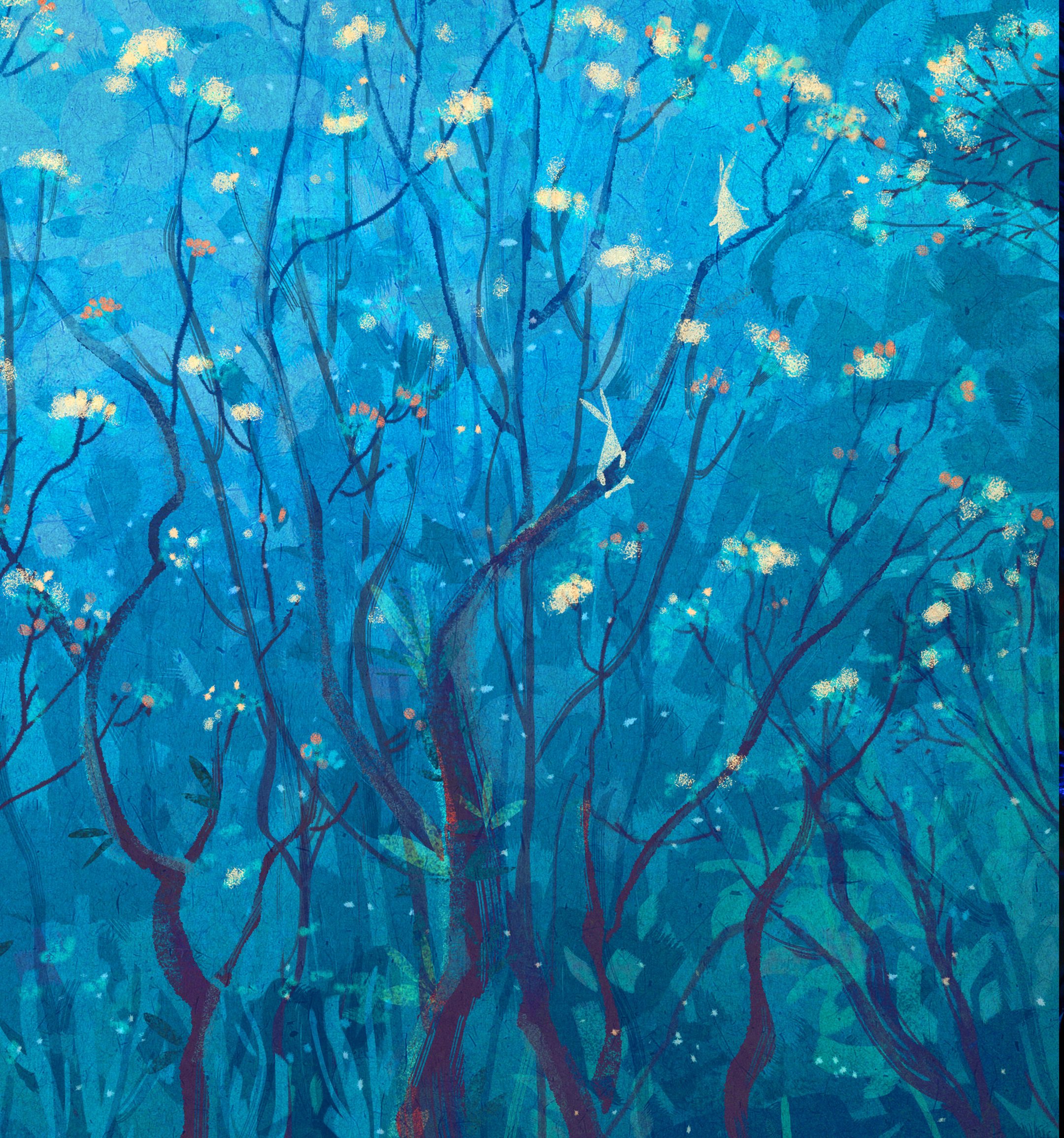 华为nova4内置壁纸下载 14张漂亮的华为nova4内置2K超清壁纸推荐