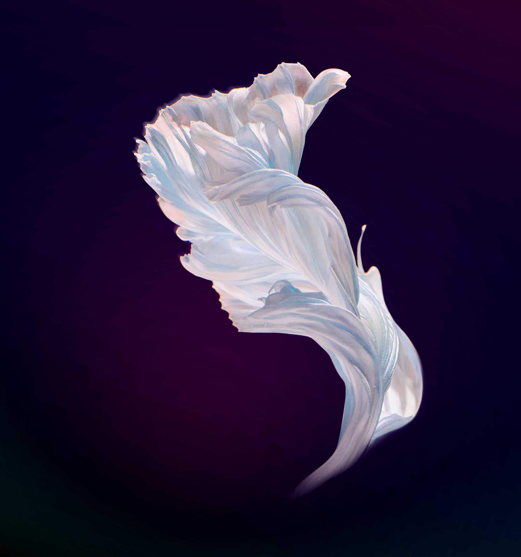 华为nova4内置壁纸下载 14张漂亮的华为nova4内置2K超清壁纸推荐