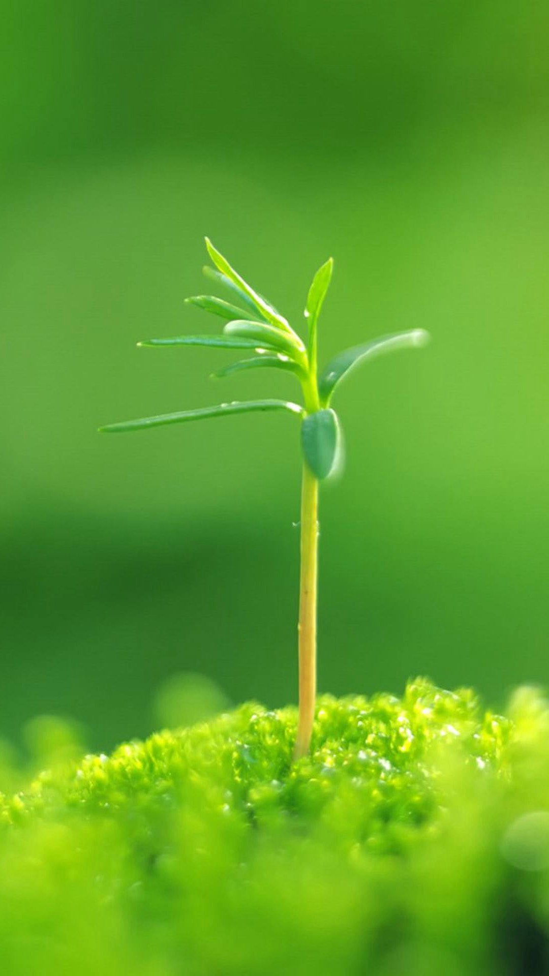 32张非常漂亮的微信7.0.0聊天背景图片大全 是聊天背景也是手机壁