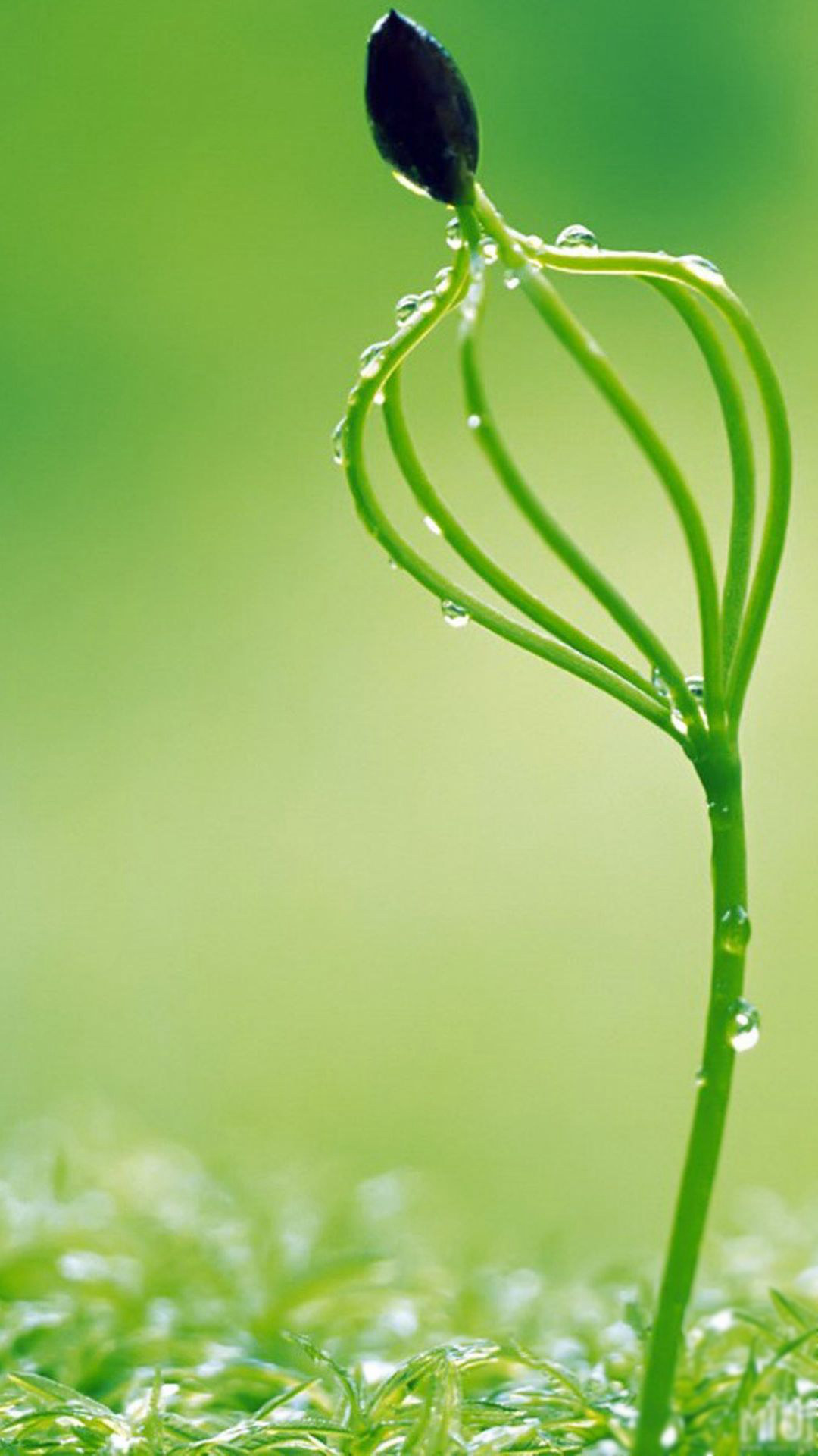 32张非常漂亮的微信7.0.0聊天背景图片大全 是聊天背景也是手机壁