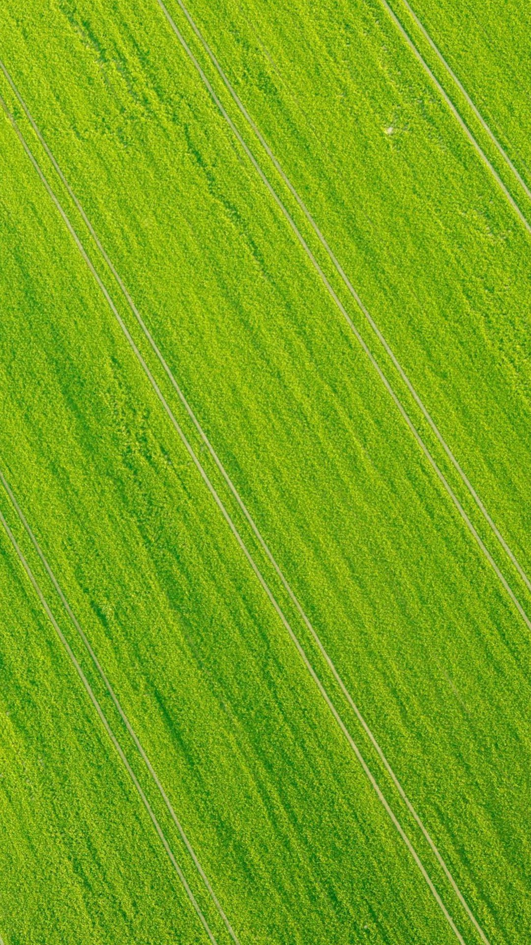 32张非常漂亮的微信7.0.0聊天背景图片大全 是聊天背景也是手机壁