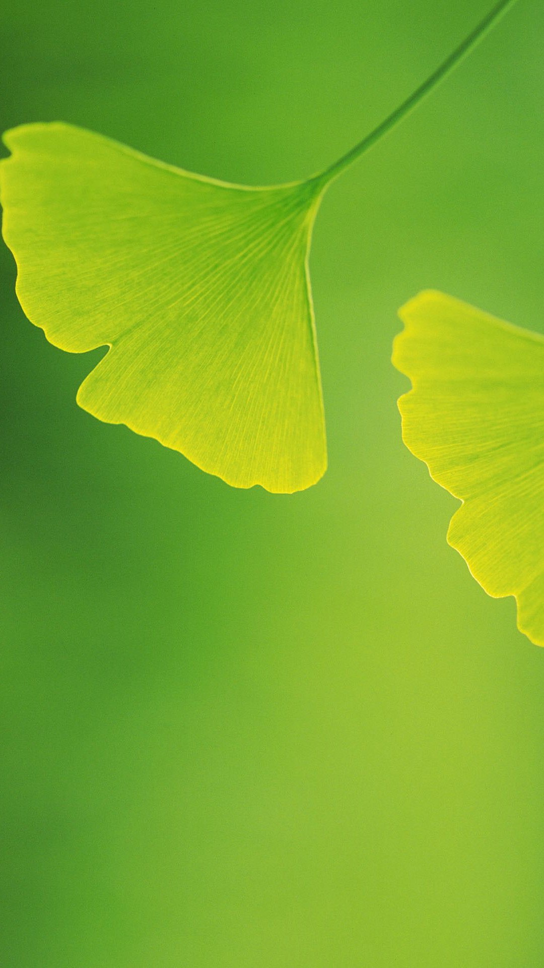 32张非常漂亮的微信7.0.0聊天背景图片大全 是聊天背景也是手机壁