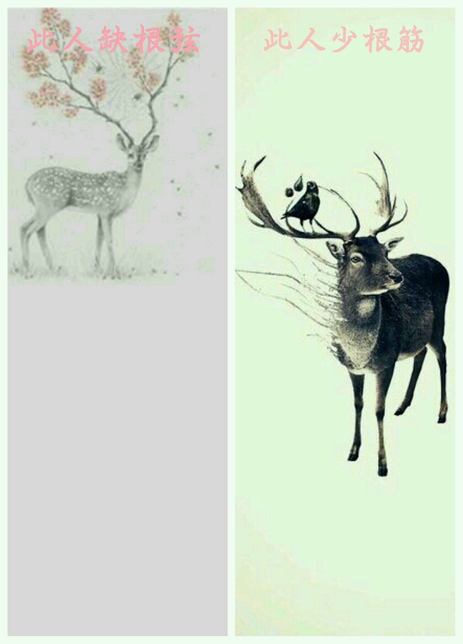 微信聊天背景分割线图片 20张可爱好看的微信聊天背景隔离区图片