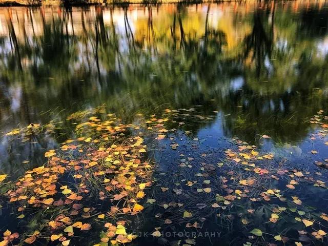 手机拍摄秋叶的4大方法 手机拍照技巧