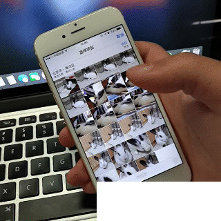 iOS 9小技巧:不知道这些iPhone就白买了