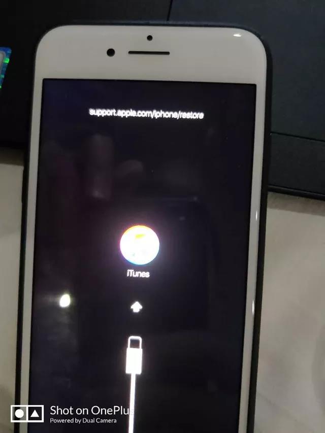 iOS12降级Support.apple.com/iphone/restore怎么办 附解决办法