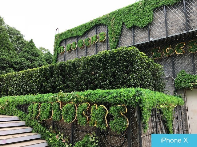 iPhone X、荣耀10、小米8拍照对比评测 苹果秒杀一切?