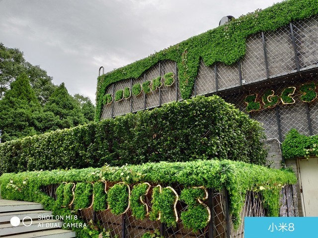 iPhone X、荣耀10、小米8拍照对比评测 苹果秒杀一切?