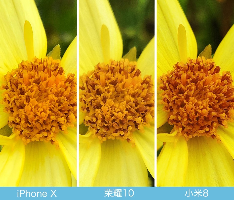 iPhone X、荣耀10、小米8拍照对比评测 苹果秒杀一切?