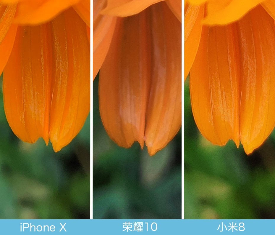 iPhone X、荣耀10、小米8拍照对比评测 苹果秒杀一切?