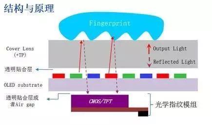 小米8透明探索版不完全拆解:我们发现了一个秘密