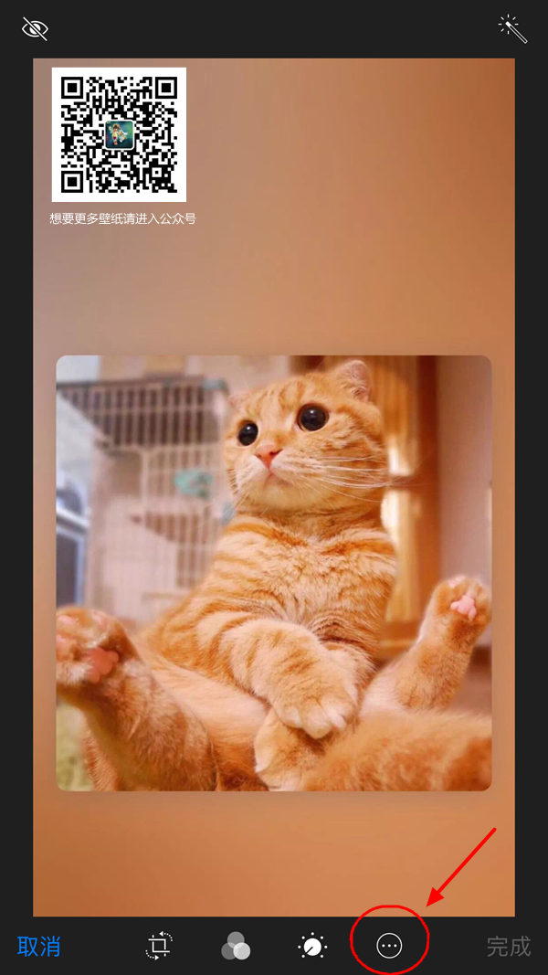 明明什么都没有做壁纸怎么制作 明明什么都没有做壁纸大全