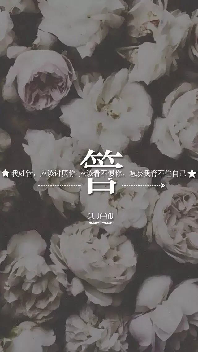 姓氏手机壁纸图片大全 66张有你的姓吗？