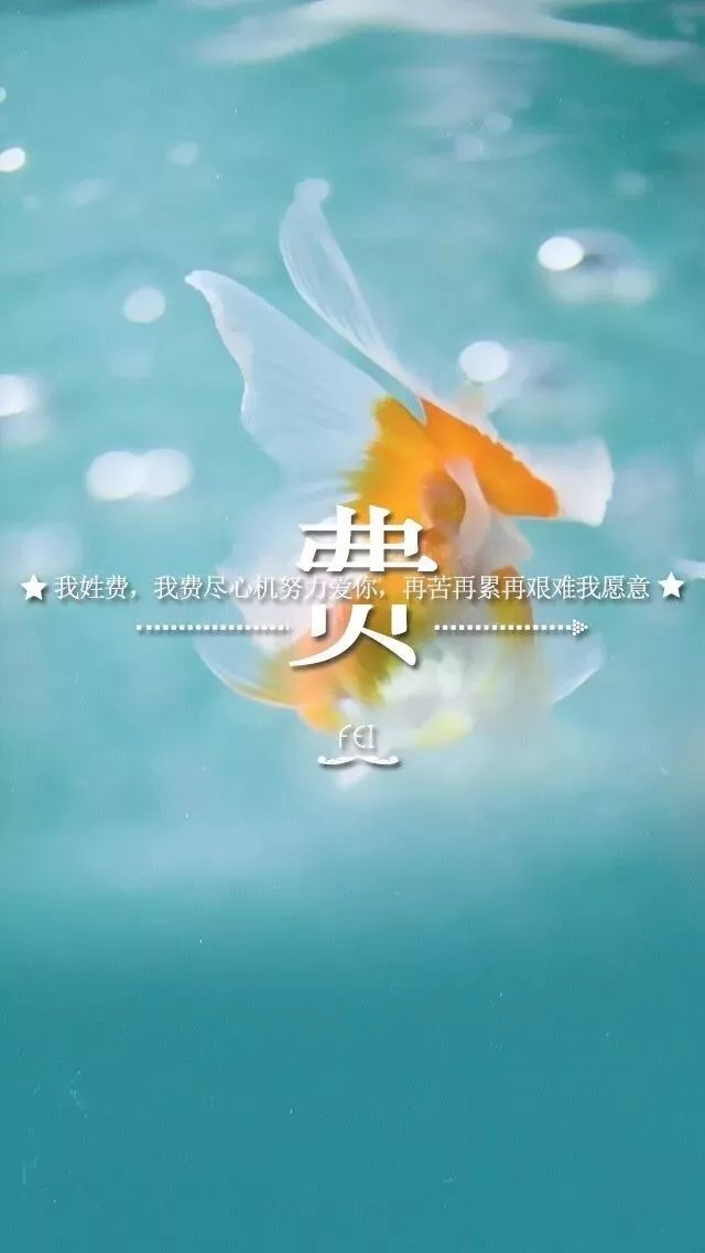 姓氏手机壁纸图片大全 66张有你的姓吗？
