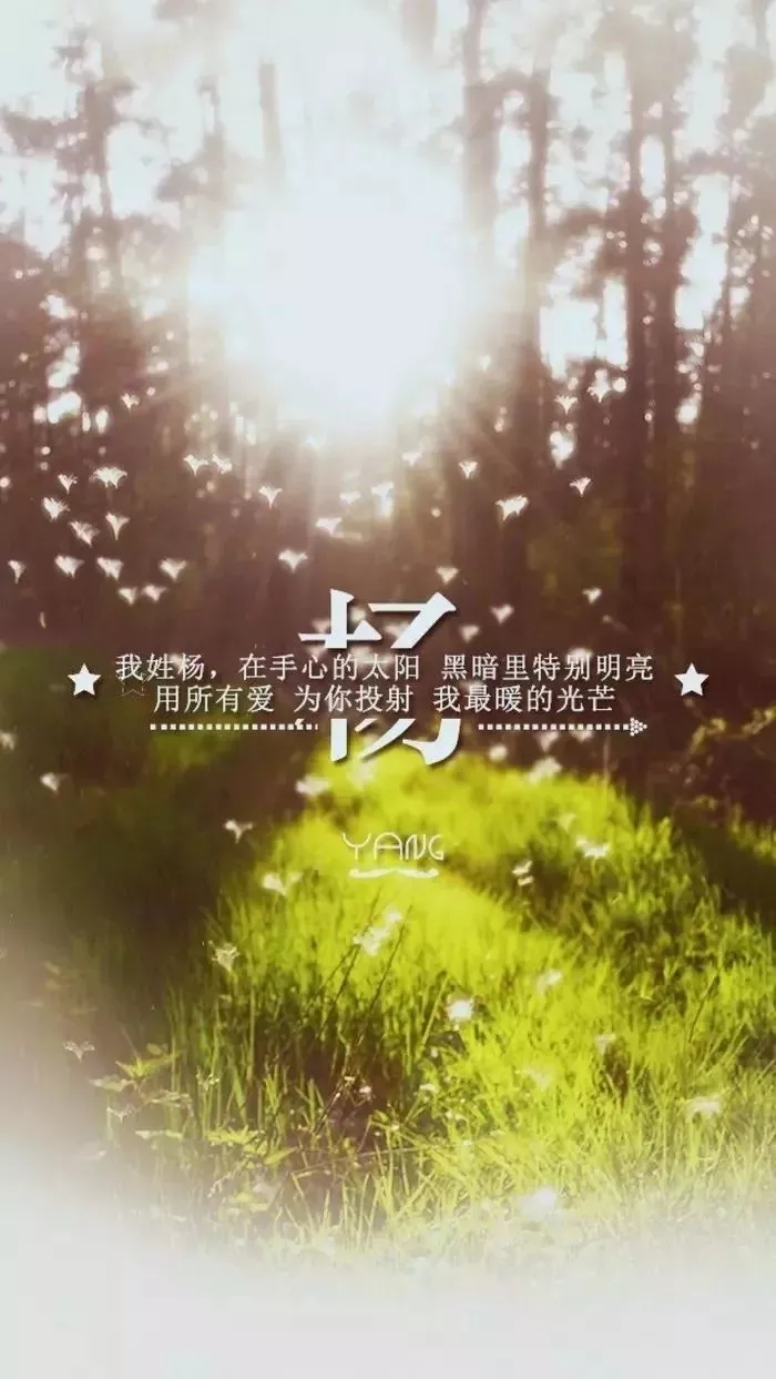 姓氏手机壁纸图片大全 66张有你的姓吗？