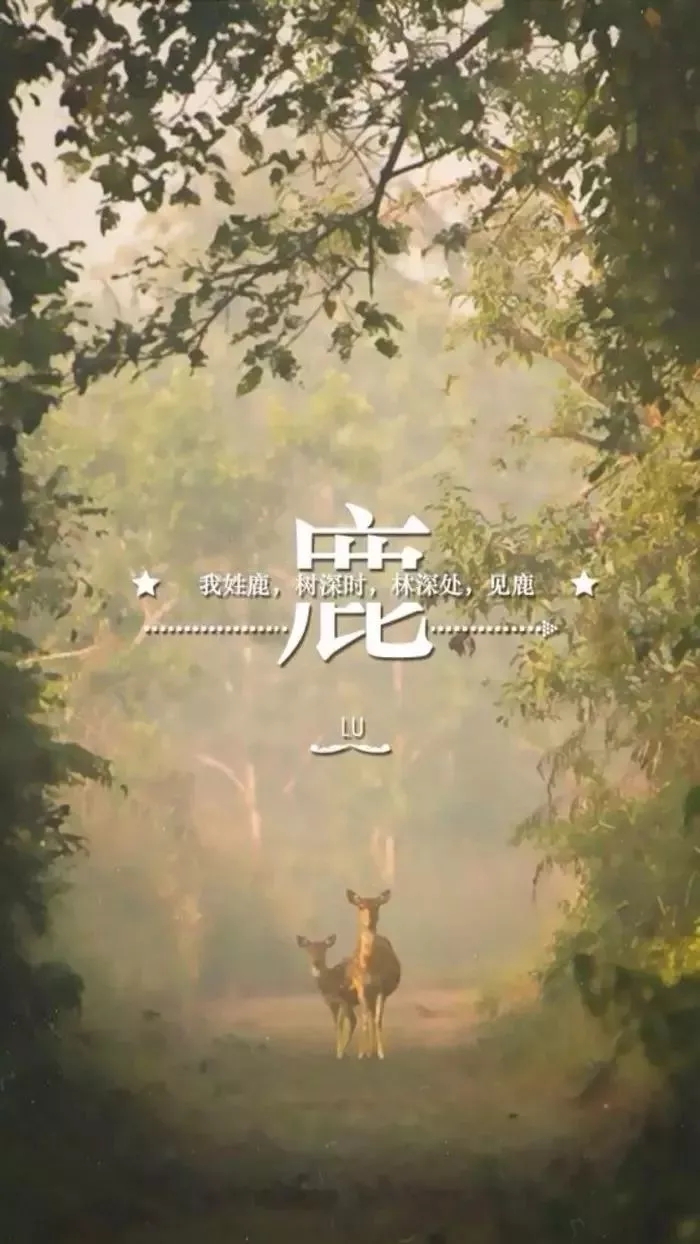 姓氏手机壁纸图片大全 66张有你的姓吗？