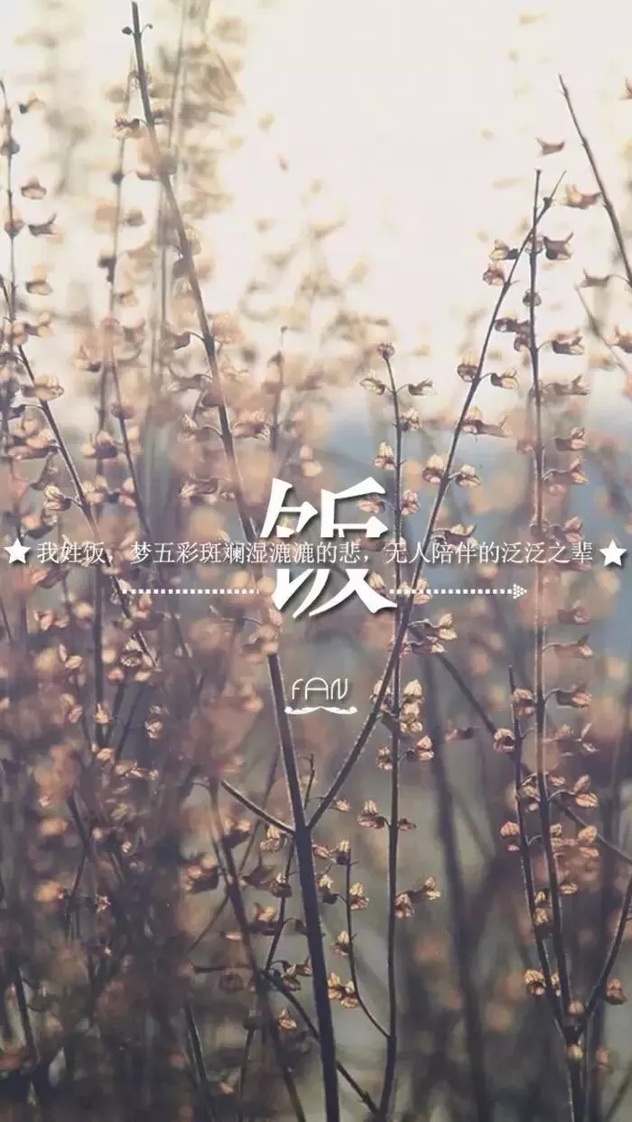 姓氏手机壁纸图片大全 66张有你的姓吗？