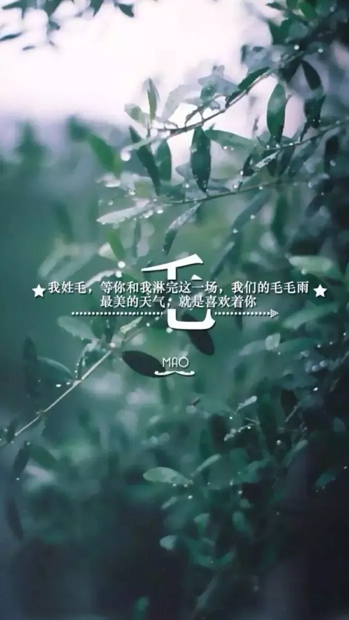 姓氏手机壁纸图片大全 66张有你的姓吗？