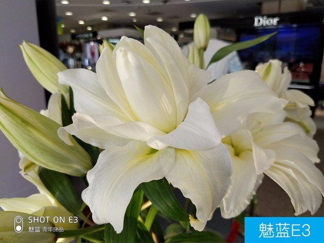 联想Z5、小米6X、魅蓝E3拍照对比评测 千元机相机对决