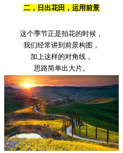 手机拍照小技巧:10个逆光风景拍摄技巧