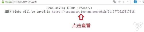 干货教程：教你如何备份苹果iPhone SHSH2文件