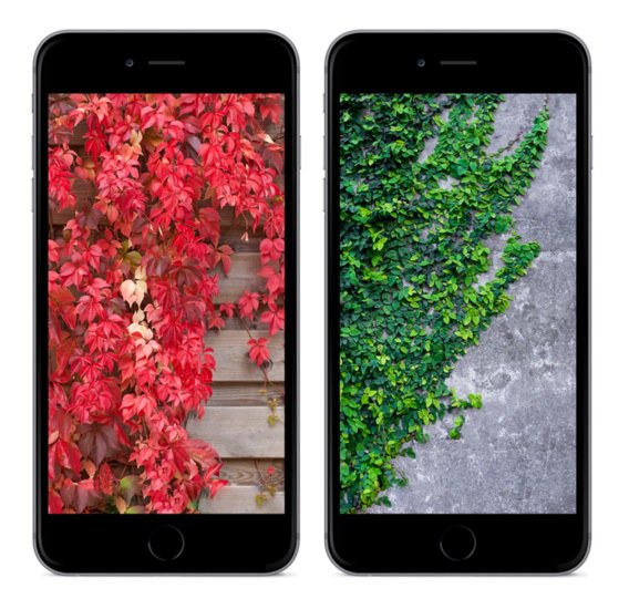 尝鲜iOS10壁纸下载 4张iOS 10自带壁纸下载