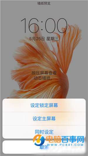 iPhone6s动态壁纸不动怎么办 iPhone6s动态壁纸设置教程