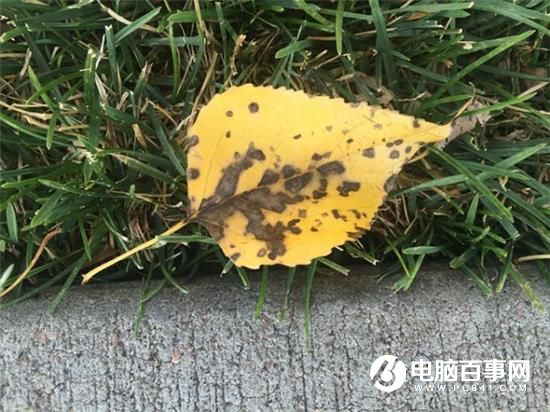 你真的会手机拍照吗？教你6招秒变拍照高手